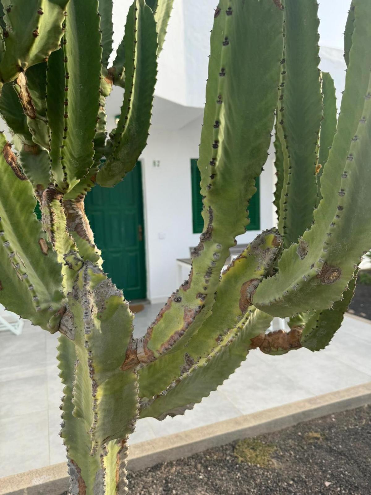Cotillo Екстер'єр фото